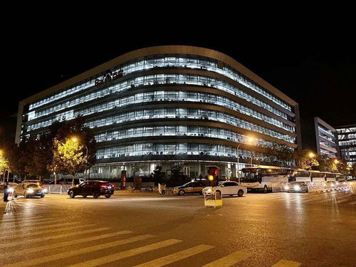 邮都网络 腰部互联网的沉默探索者