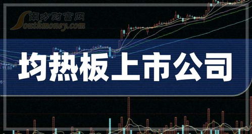 2024年9月13日均热板概念上市公司市盈率排名前十解析